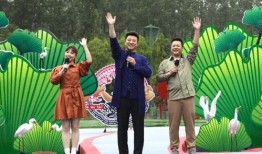 星兴诚最新爆料新闻视频,最新爆料新闻视频深度解析