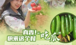 吃瓜真香完结小说免费阅读,完结小说免费阅读，揭秘幕后真相